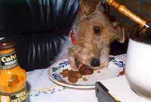 Cleo aan het diner met sausen van .......... 
